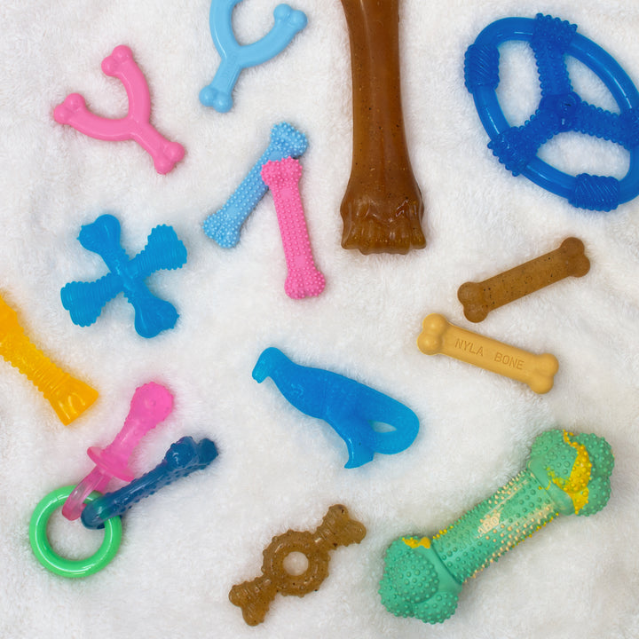 Nylabone Puppy Chew Textured Teething Bone Dog Chew Toy Chicken X-Small (1 Count)