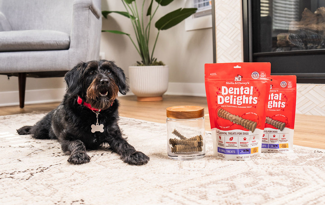 Dental Delights Small – 21 ct