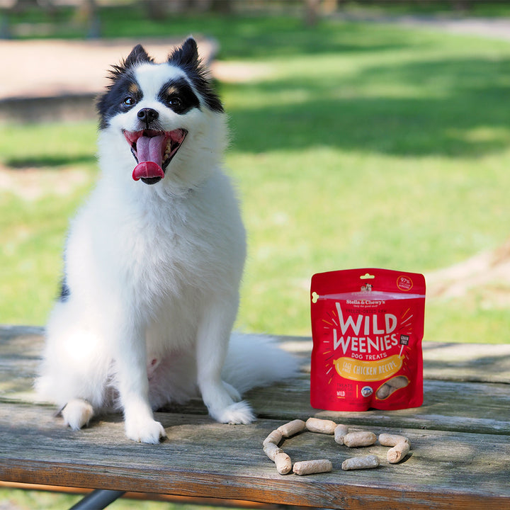 Wild Weenies Chicken - 11.5 oz