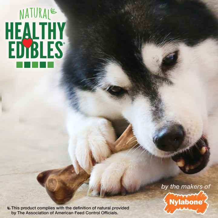 Nylabone Healthy Edibles Broth Bone All-Natural Long Lasting Chew Treats Ham Large (1 Count)