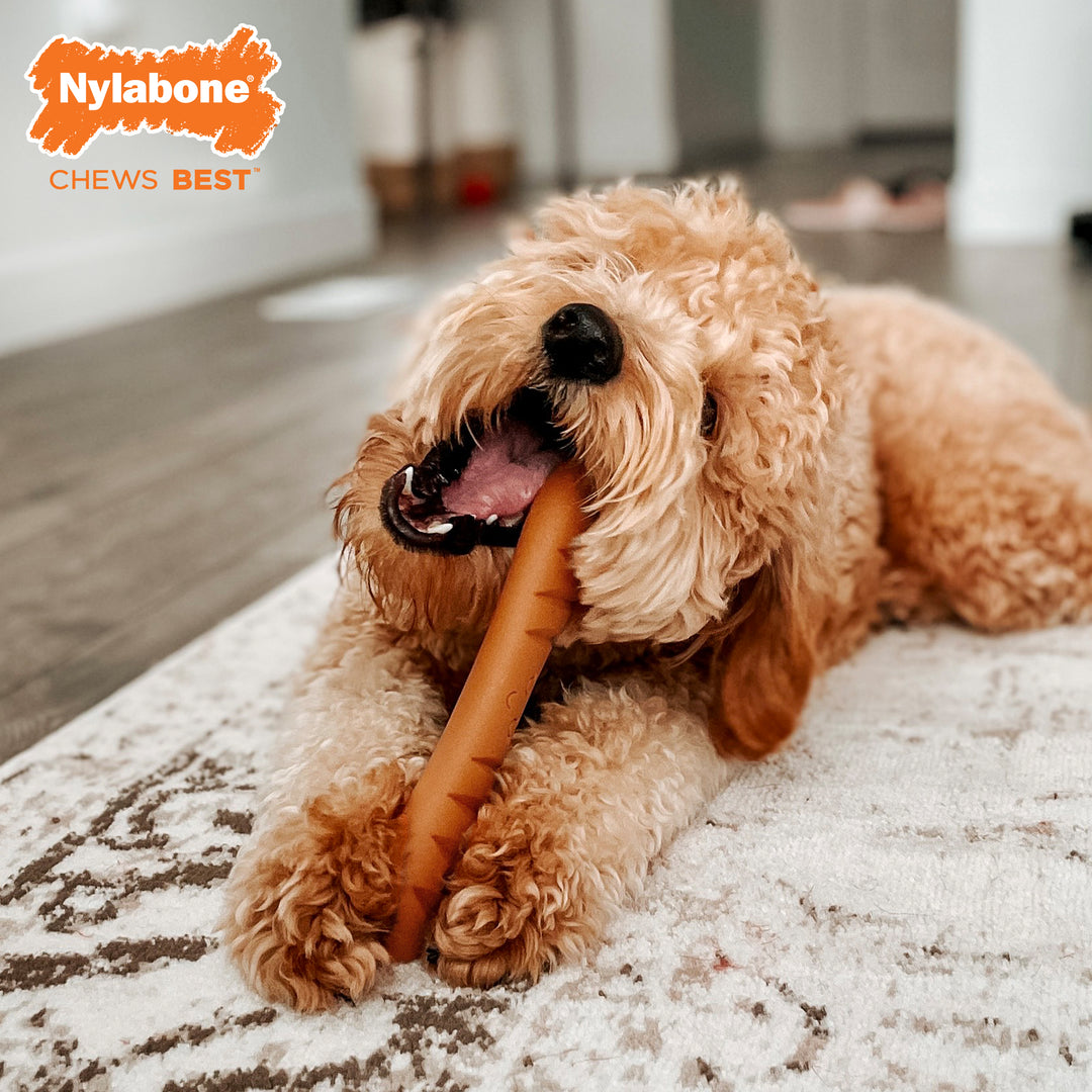 Nylabone Power Chew Baguette Dog Toy Roast Chicken Large (1 Count)
