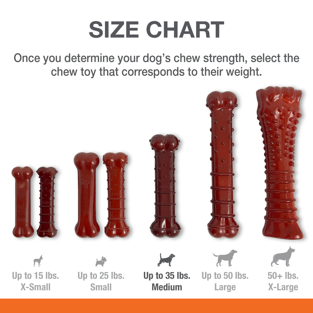 Nylabone Power Chew Basted Blast Textured Bone Dog Chew Toy Bacon &amp; Steak Medium (1 Count)