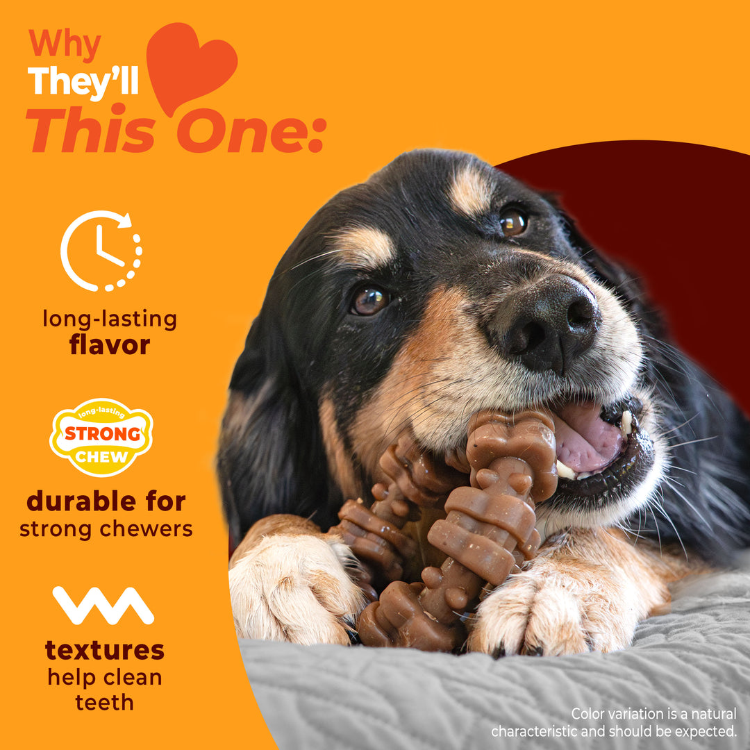 Nylabone Strong Chew Textured Ring Dog Chew Toy Made with Real Beef &amp; Chicken X-Large (1 Count)
