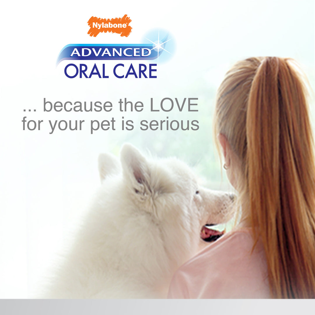 Nylabone Advanced Oral Care Dog Dental Kit Original 2.5 Ounce (3 Count)