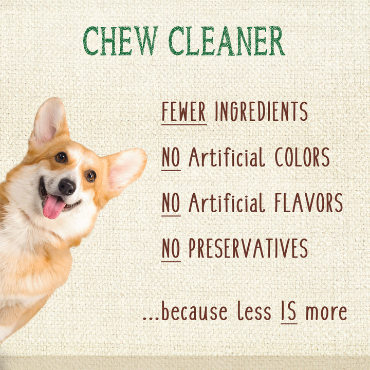 Nylabone Nutri Dent Fresh Breath Flavored Dental Dog Chew Treats Medium (40 Count)