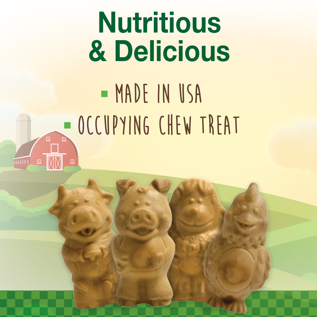 Nylabone Healthy Edibles All-Natural Long Lasting Puppy Chew Treats Lamb &amp; Apple Small (4 Count)