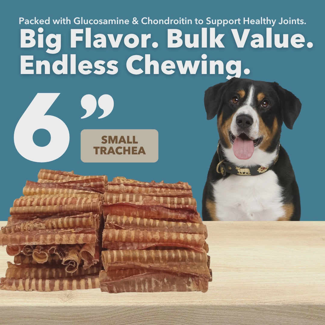 Mighty Chew 6in Small Trachea