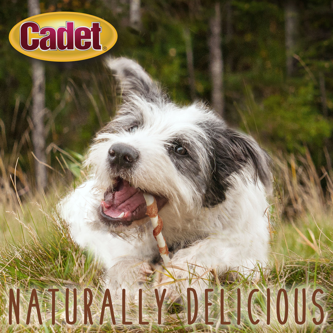 Cadet Gourmet Beef Hide &amp; Chicken Twists Sticks 4 Ounce (14 Count)