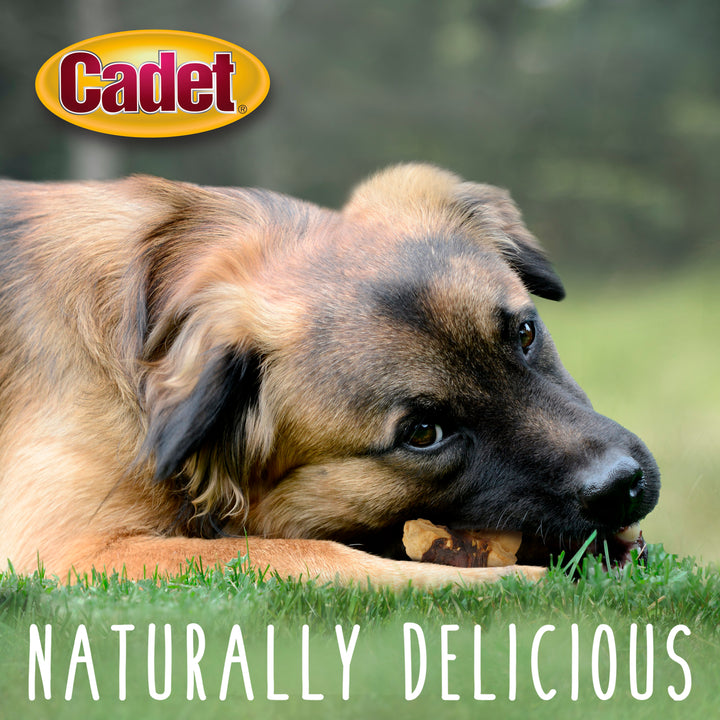 Cadet Gourmet Chicken &amp; Apple Wrapped Dog Treats 28 Ounce