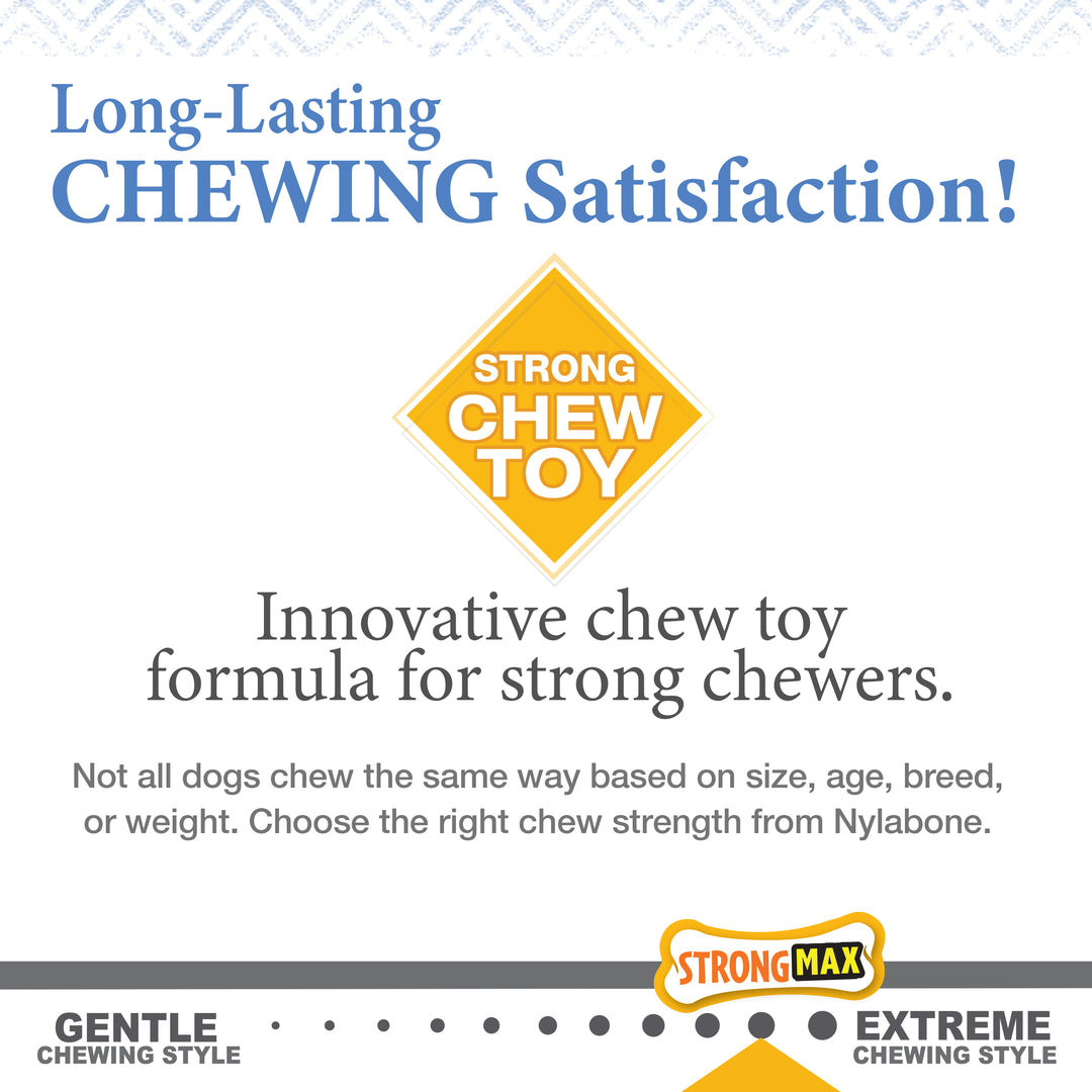 Nylabone Strong Chew Gourmet Style Wishbone &amp; Femur Bone Puppy Chew Toys Peanut Butter &amp; Bacon Small (2 Count)
