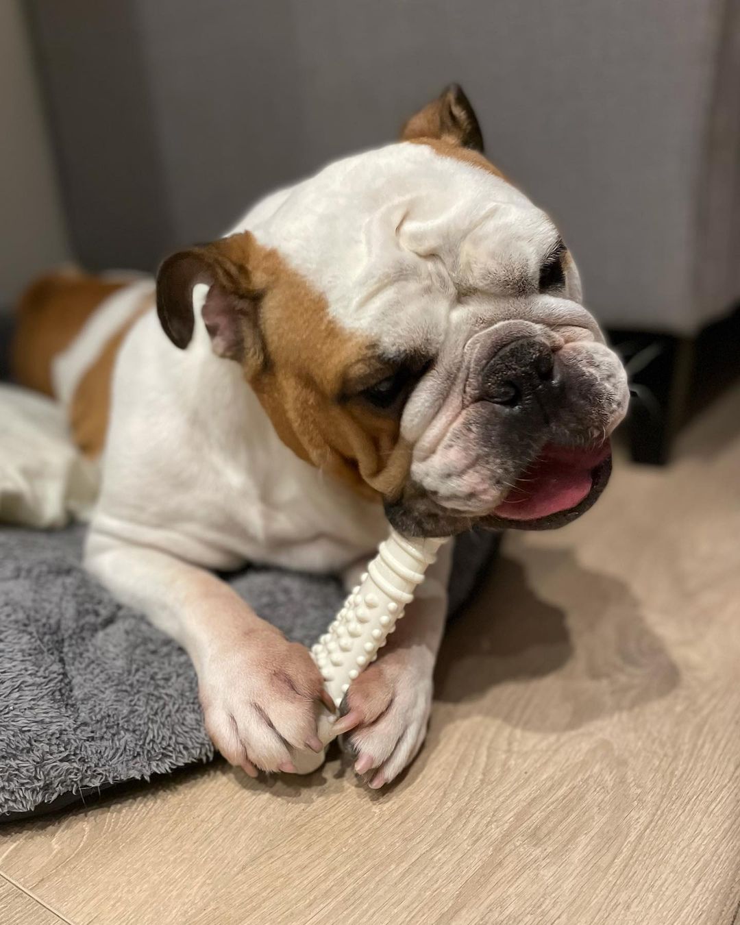 Nylabone Power Chew Textured Knuckle Bone Dog Chew Toy Chicken X-Large (1 Count)