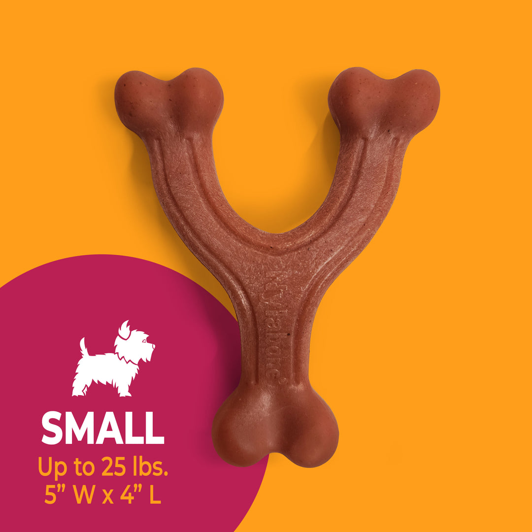 Nylabone Strong Chew Wishbone Dog Chew Toy Made with Real Bacon Small (1 Count)
