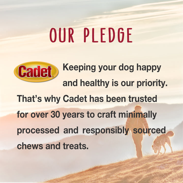 Cadet Smart Hide Rawhide Free Dog Chews Chicken, Sweet Potato, &amp; Oats (2 Count)