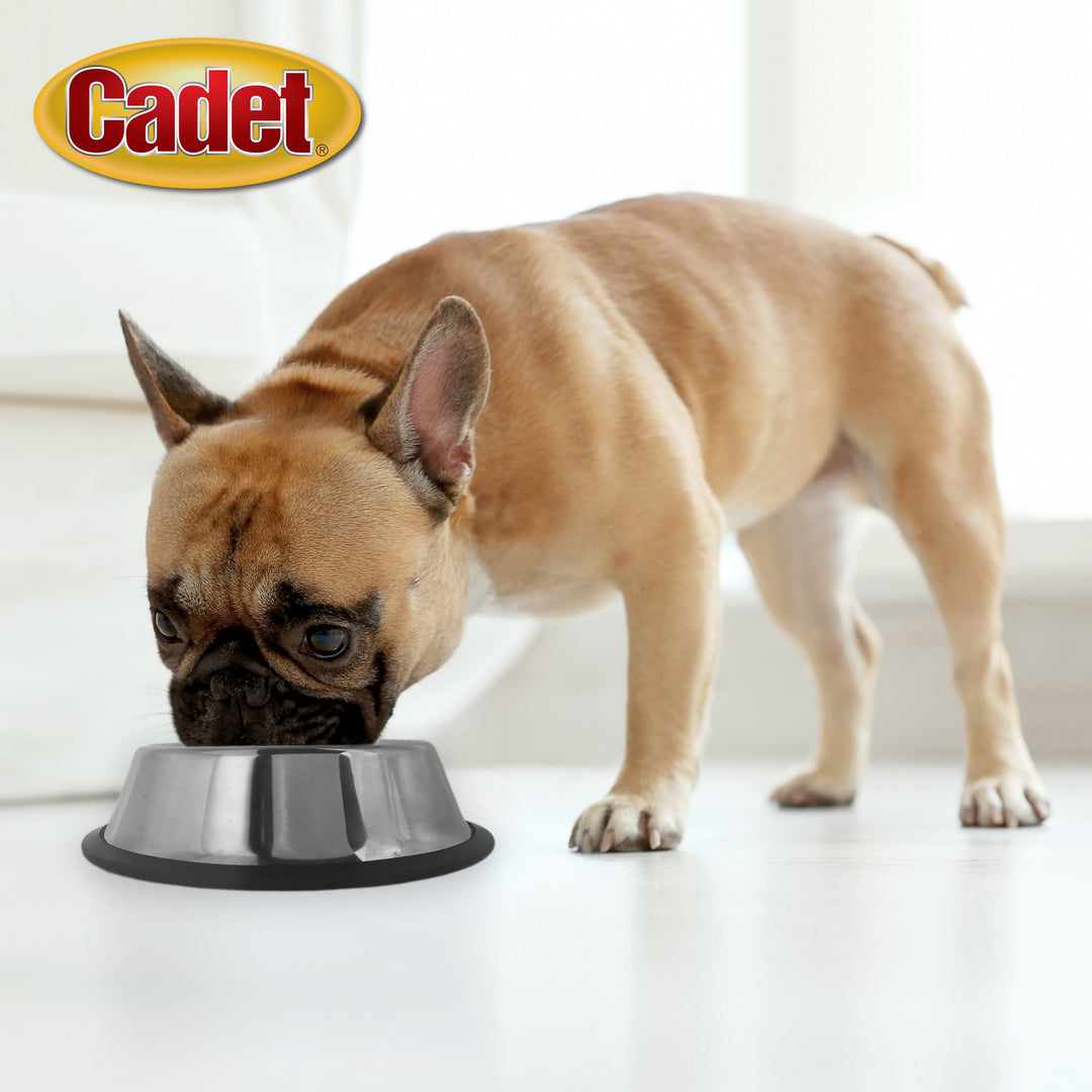 Cadet Stainless Steel No Spill Dog Bowls 24 Ounce