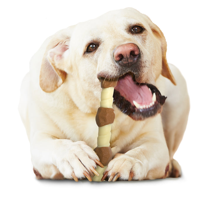 Nylabone Power Chew Shish Kabob Alternative Nylon Chew Toy Chicken Large/Giant - Up to 50 lbs. (1 Count)