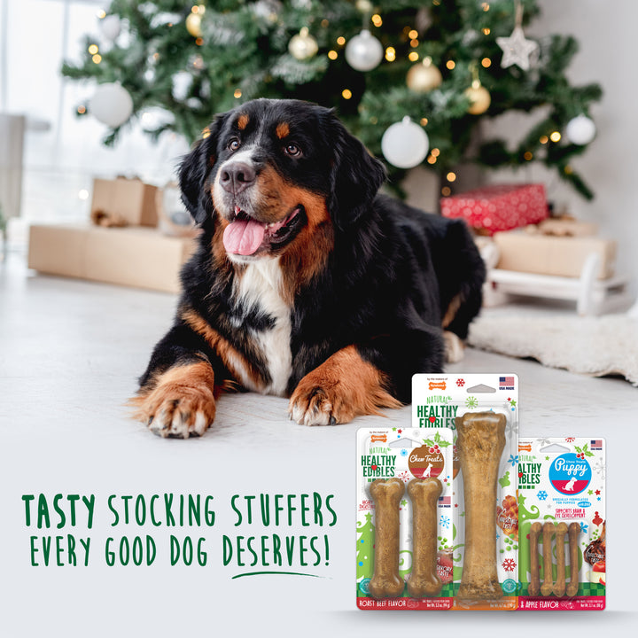 Nylabone Healthy Edibles Natural Holiday Dog Treats Roast Beef Small/Regular - Up to 25 Ibs. (2 Count)