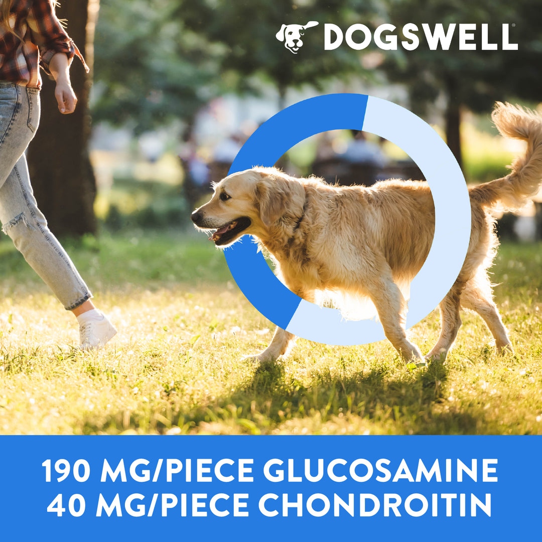 Dogswell Hip Joint Chicken Soft Chewy 14 oz