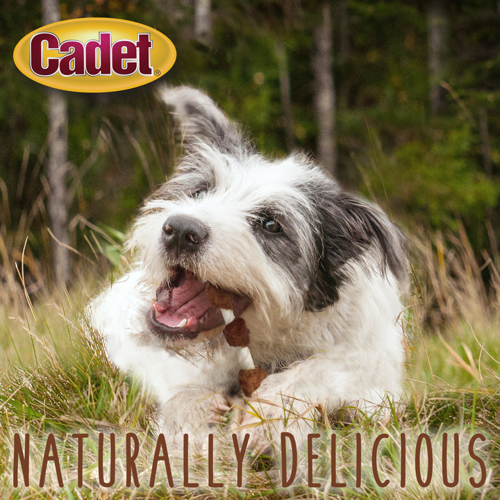 Cadet Gourmet Beef Hide Shish Kabob Dog Treats 4 Ounce