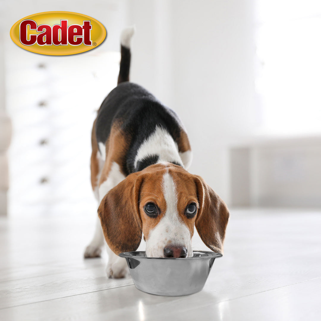 Cadet Pet Stainless Steel Bowls 1 Quart