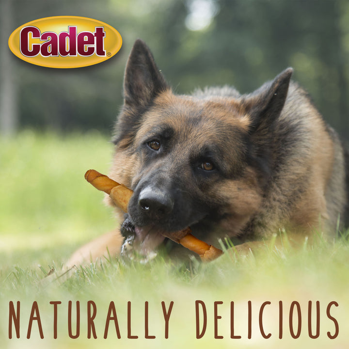 Cadet Gourmet Pork Hide Shish Kabob Dog Treats 11.6 Ounce (4 Count)