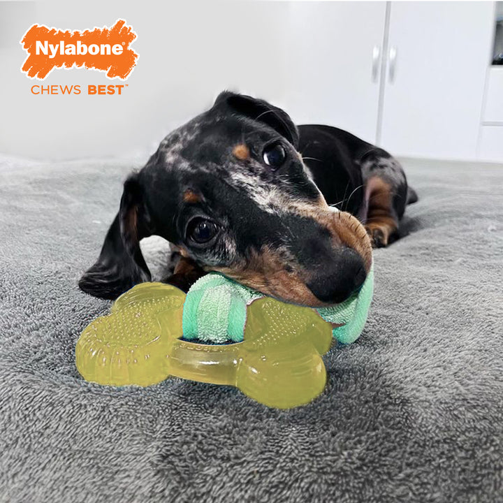 Nylabone Puppy Chew 2-in-1 Teething Freezer Bone Cloth Chew Toy Bacon Yellow Small (1 Count)