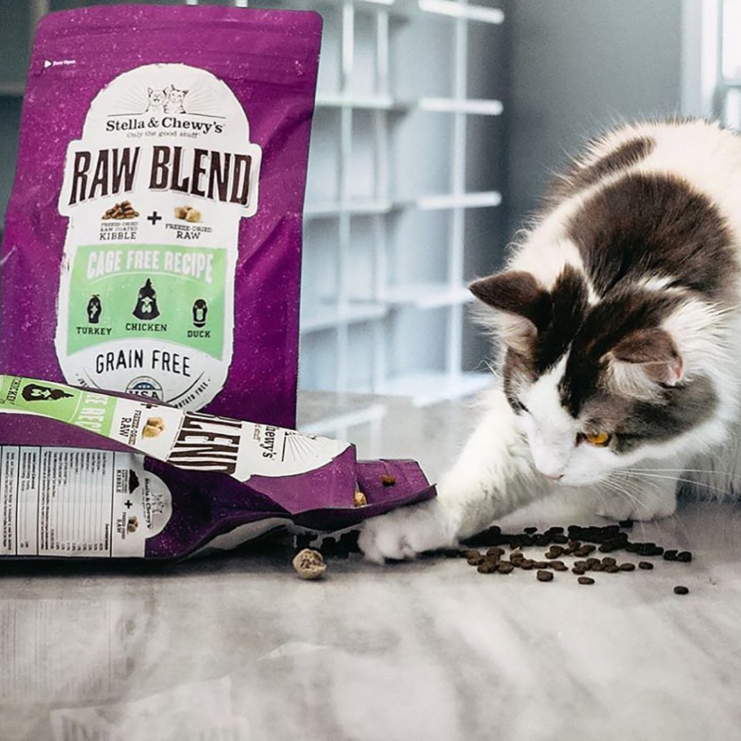 Kibble Raw Blend Cage Free - 2.5 lb