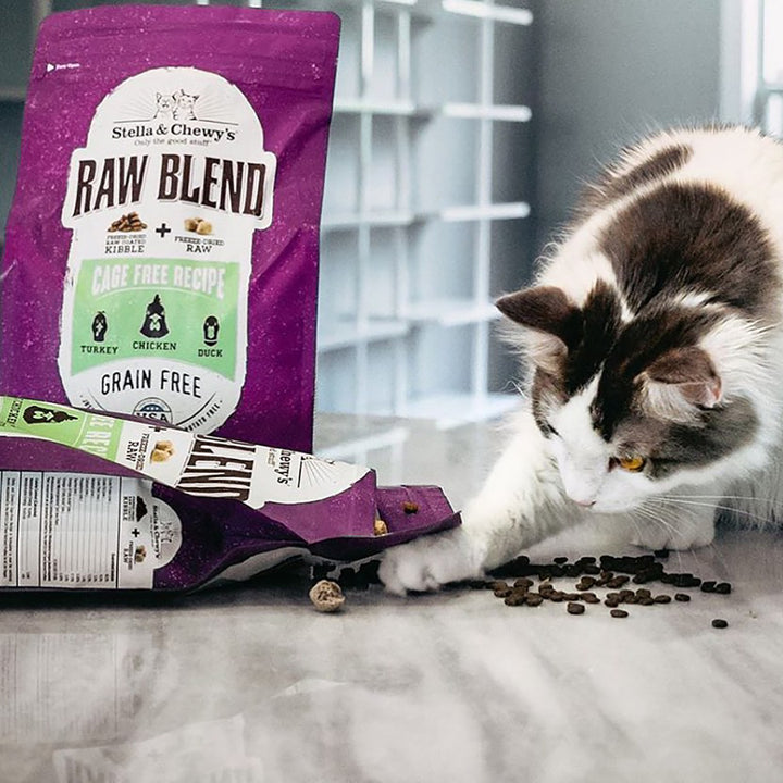 Kibble Raw Blend Cage Free - 2.5 lb