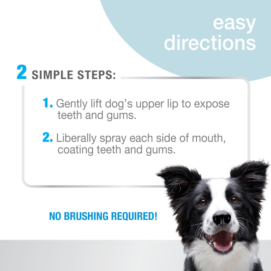 Nylabone Advanced Oral Care Dental Spray Fresh Breath 4 Ounce (1 Count)