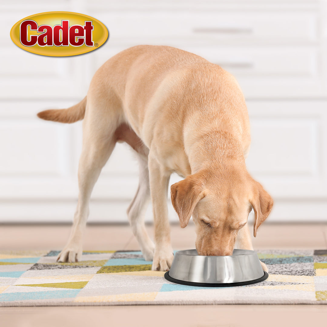 Cadet Stainless Steel No Spill Dog Bowls 96 Ounce