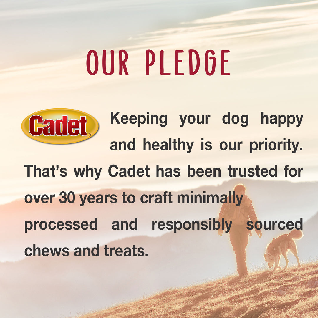 Cadet Munchy Beef Hide Sticks for Dogs 5 Inch (150 Count)