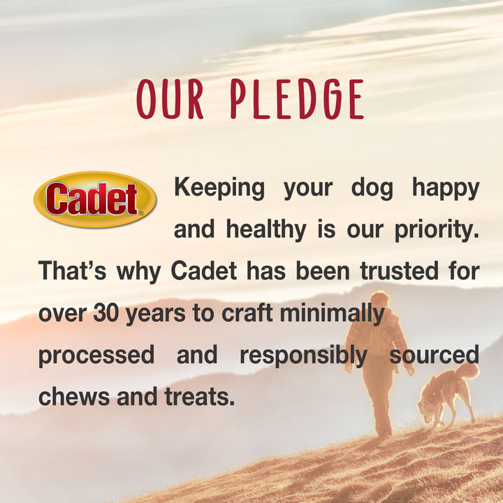 Cadet Munchy Beef Hide Sticks for Dogs 5 Inch (150 Count)
