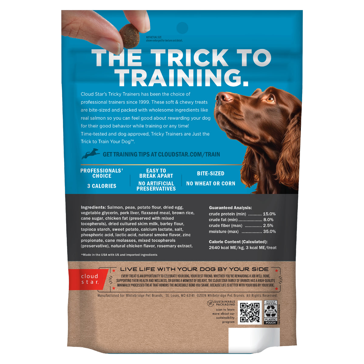 Cloud Star Chewy Salmon Training Treats 14oz - back