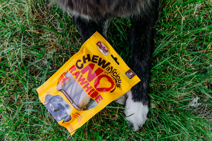 Cadet Chewalicious Chewy &