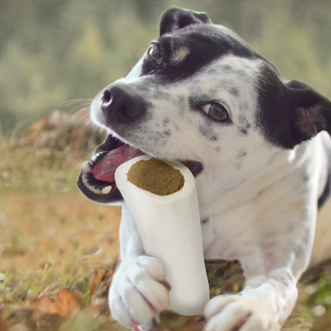 Cadet Stuffed Shin Bones for Dogs Peanut Butter Small (1 Count)