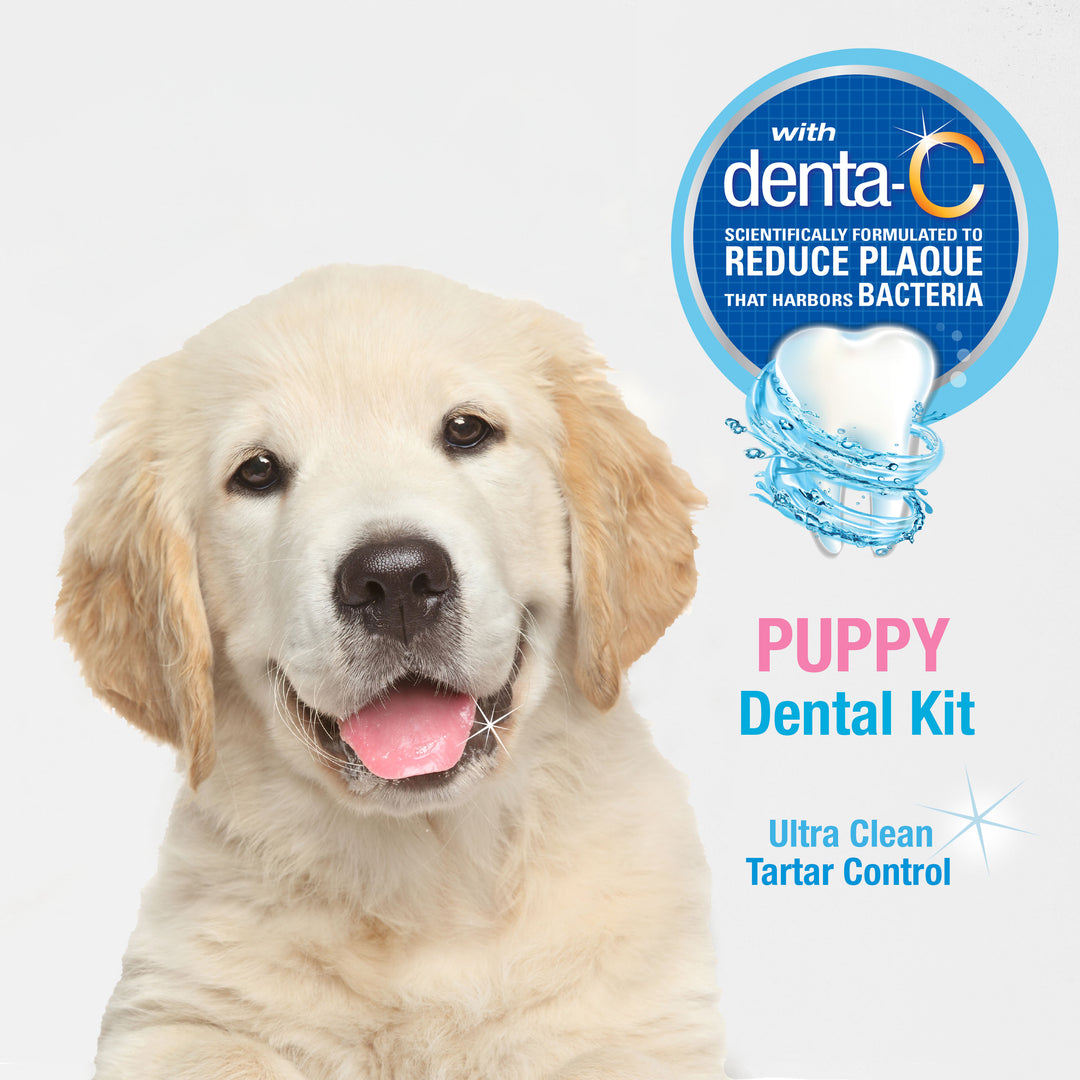 Nylabone Advanced Oral Care Puppy Dental Kit Original 2.5 Ounce (3 Count)