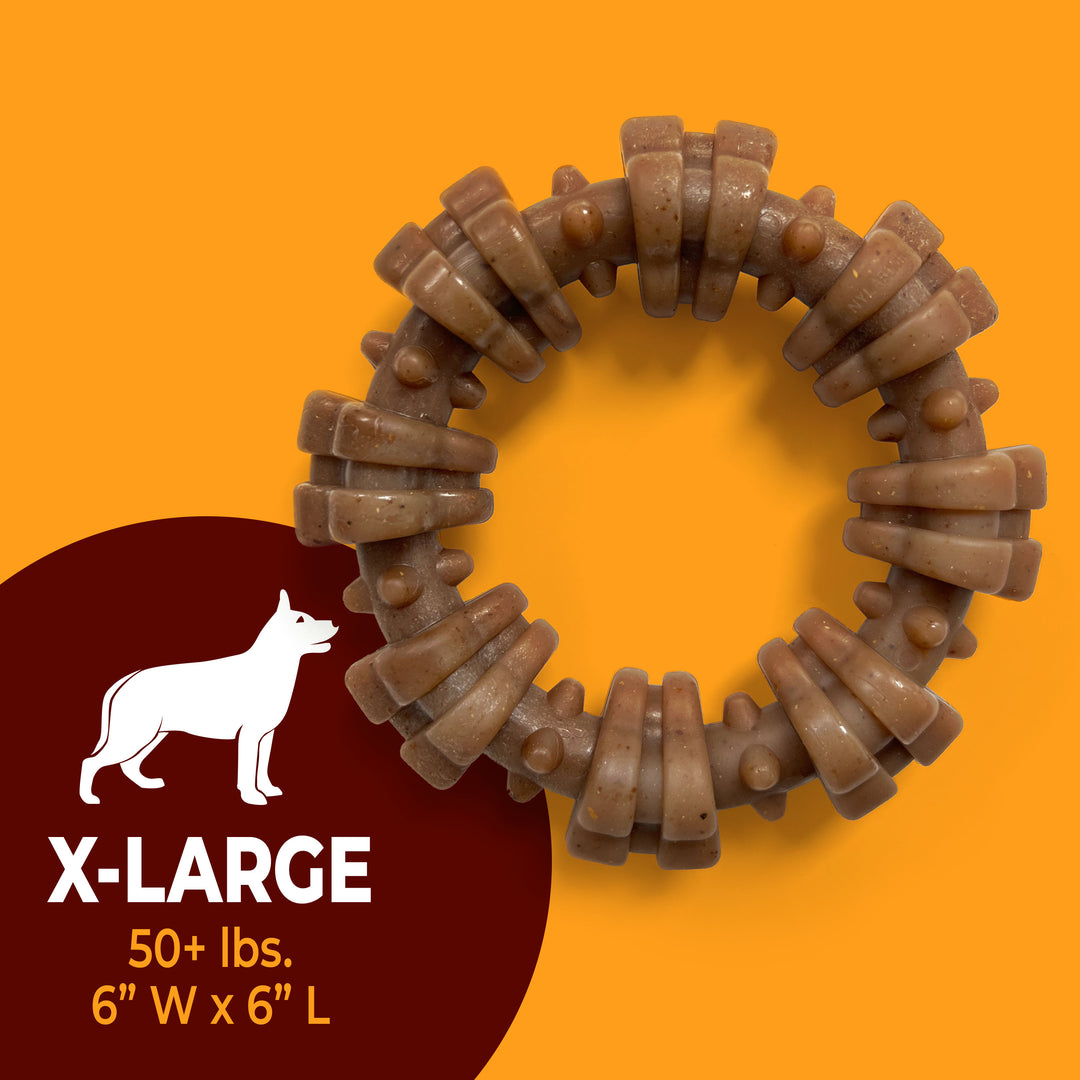 Nylabone Strong Chew Textured Ring Dog Chew Toy Made with Real Beef &amp; Chicken X-Large (1 Count)