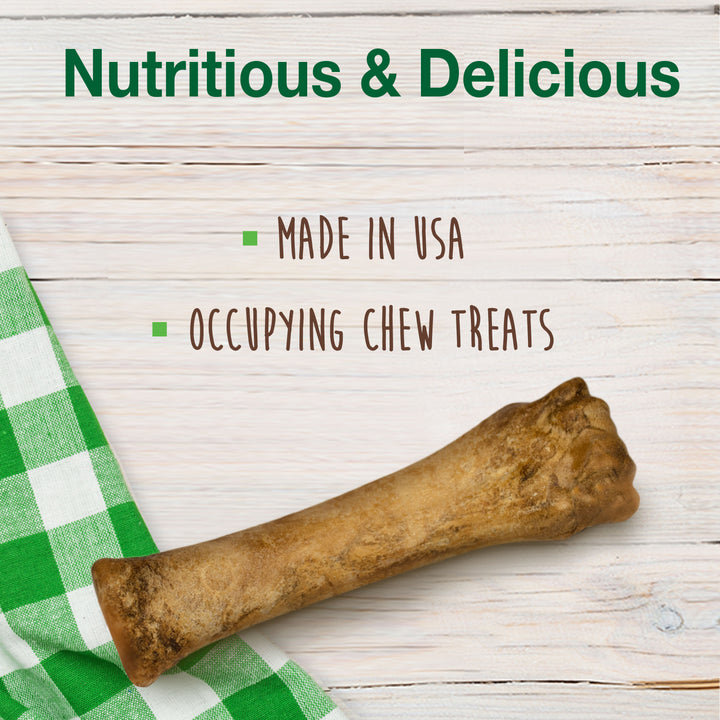Nylabone Healthy Edibles All-Natural Long Lasting Chew Treats Bacon X-Large (2 Count)