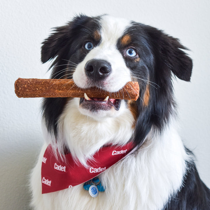Cadet Chewalicious Rawhide-Free Natural Chewy &