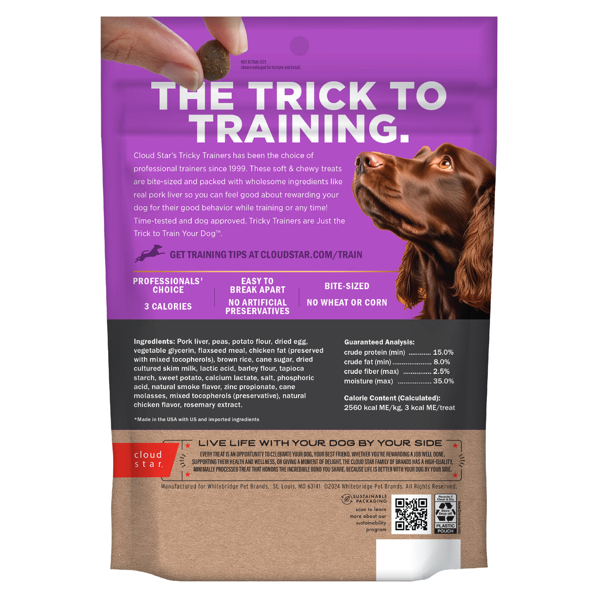 Cloud Star Chewy Liver Training Treats 14oz - back