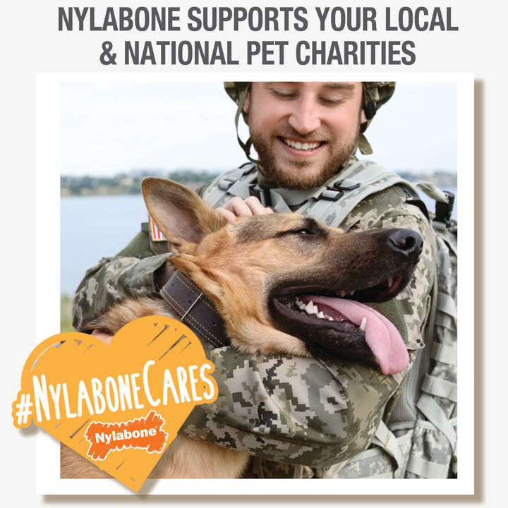 Nylabone Healthy Edibles All-Natural Long Lasting Puppy Chew Treats Turkey &amp; Sweet Potato X-Small (16 Count)