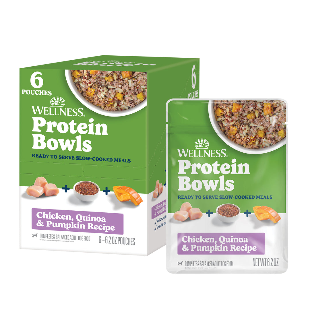 Wellness Protein Bowls, Adult Fresh Alternative Dog Food, Wholesome Grains, 6.2 Ounce Pouch, 6 Pack, (Chicken, Quinoa &amp; Pumpkin Recipe)