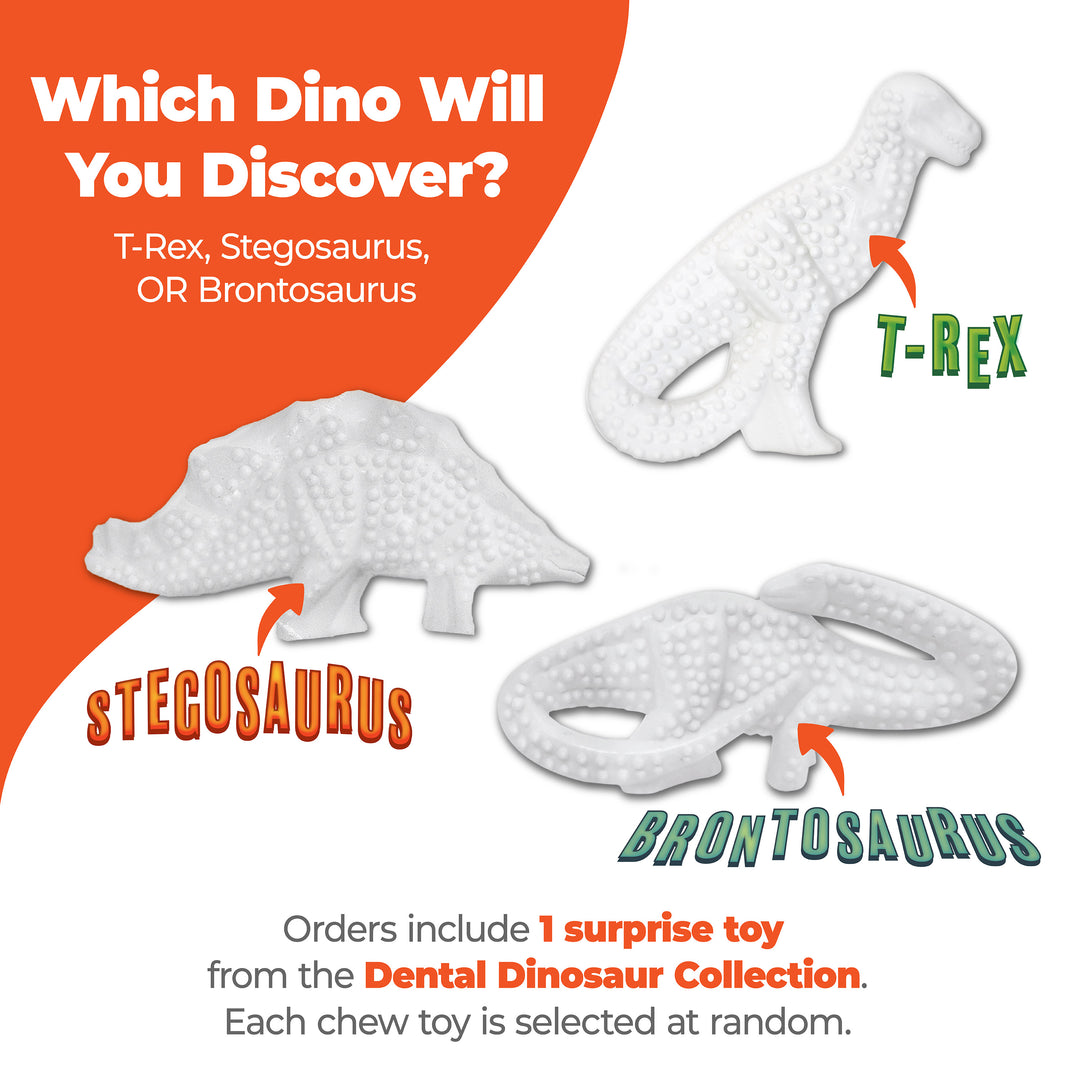 Nylabone Power Chew Dental Dinosaur Dog Chew Toy Chicken Large (1 Count)