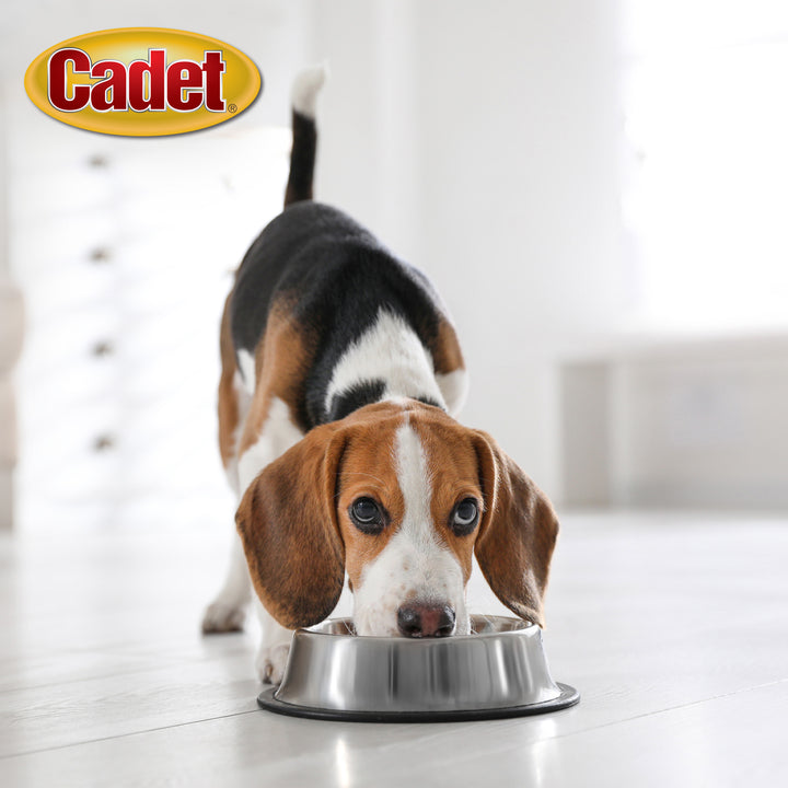 Cadet Stainless Steel No Spill Dog Bowls 32 Ounce