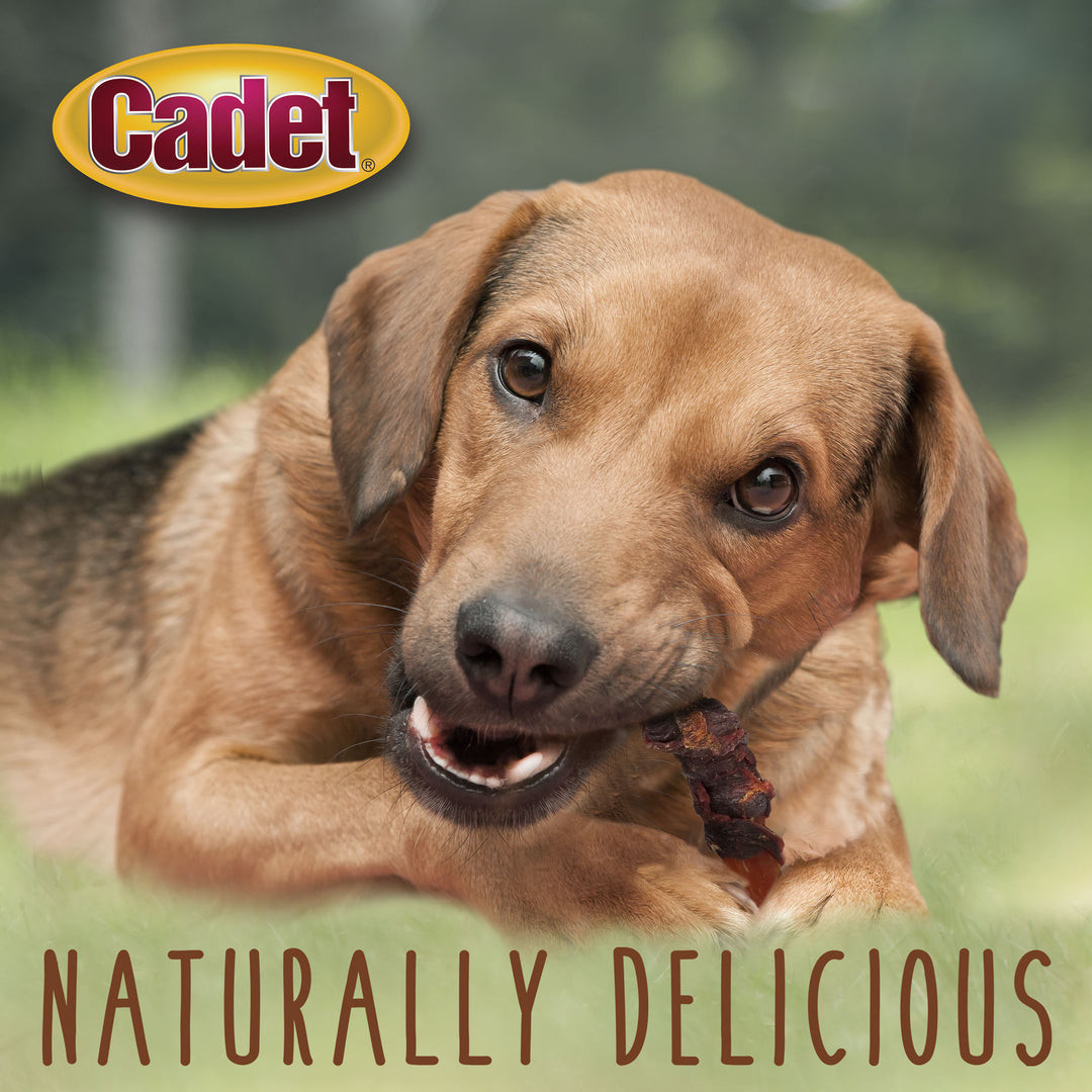 Cadet Gourmet Sweet Potato &amp; Duck Wrapped Dog Treats Duck &amp; Sweet Potato 14 Ounce