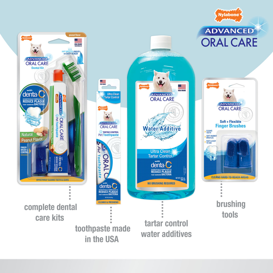 Nylabone Advanced Oral Care Dental Spray Fresh Breath 4 Ounce (1 Count)