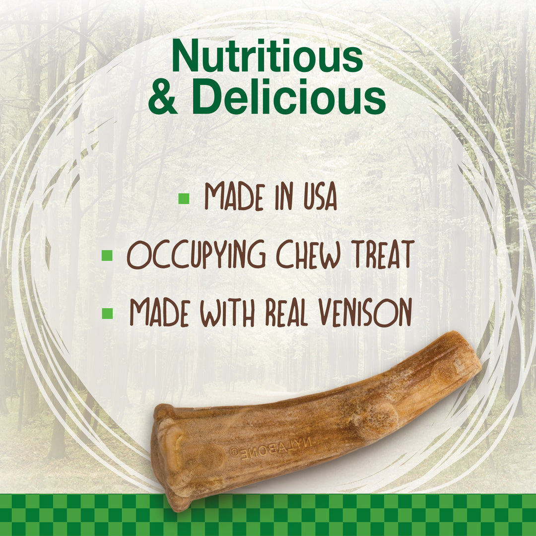 Nylabone Healthy Edibles WILD All-Natural Long Lasting Antler Chew Treats Venison Large (2 Count)