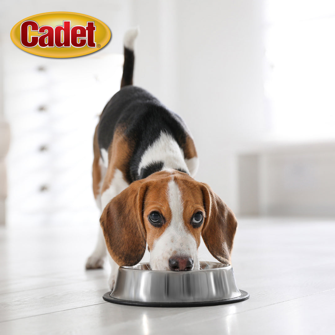 Cadet Stainless Steel No Spill Dog Bowls 64 Ounce