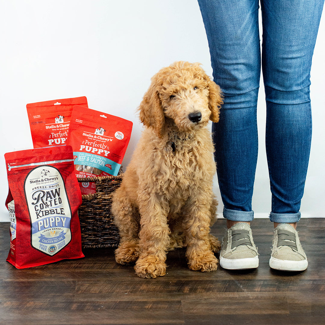 Kibble Raw Coated Chicken Puppy - 3.5 lb