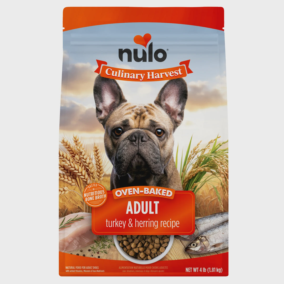 Nulo Culinary Harvest Baked Turkey Herring Dog 10 lb