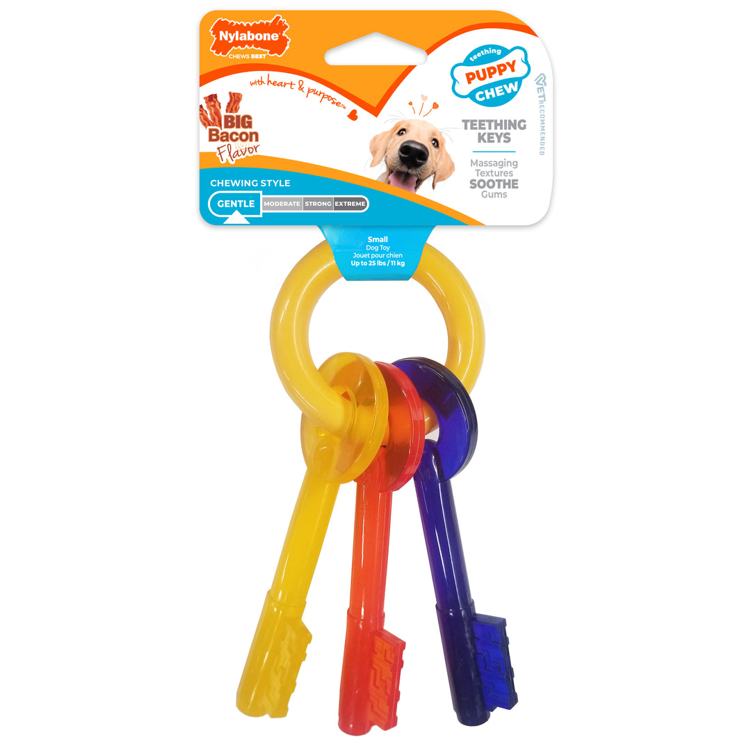 Nylabone Puppy Chew Teething Keys Dog Chew Toy Bacon Small (1 Count)